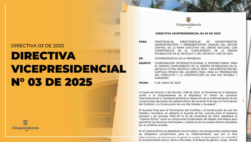 Directiva Vicepresidencial 03 de 2025
