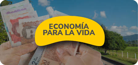economía para la vida